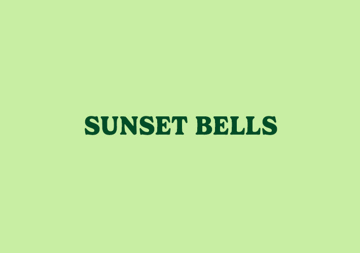 August: Sunset Bells