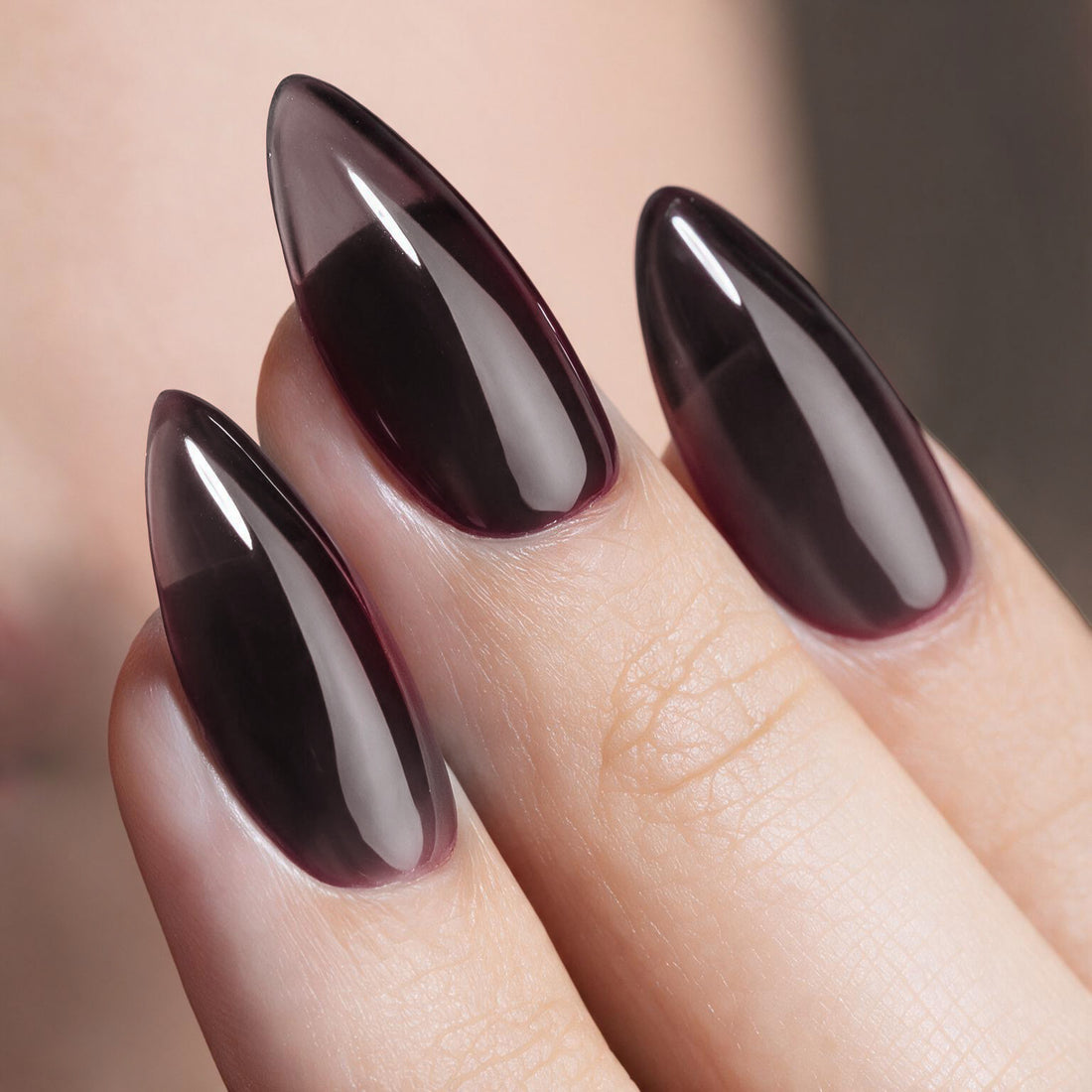 Mocha Shell | Madam Glam