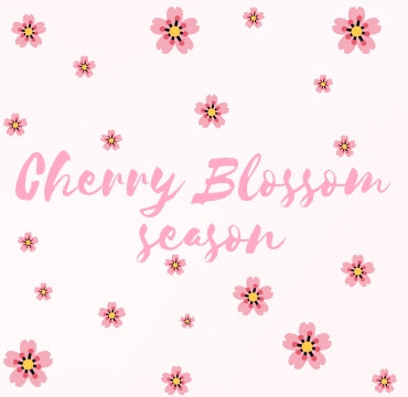 Cherry Blossom Season