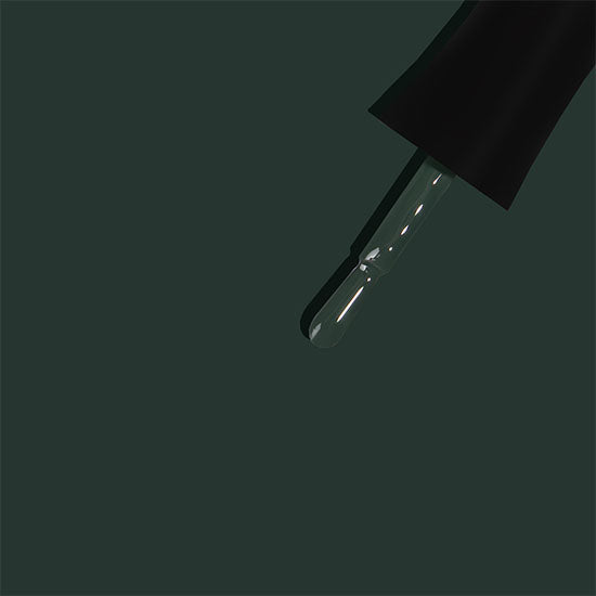 Sage Stuffing | Madam Glam