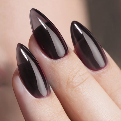Mocha Shell | Madam Glam