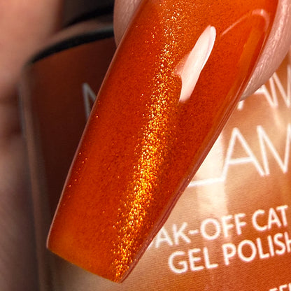 Honey Shell | Madam Glam
