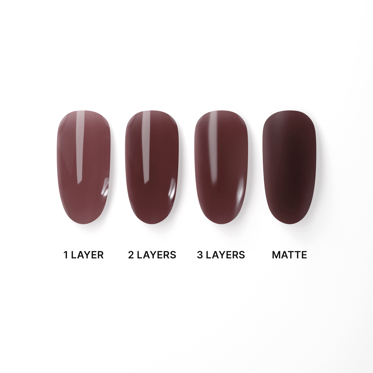 Mocha Shell | Madam Glam