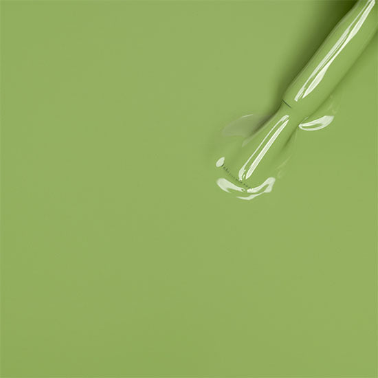 Green Guru - Kit | Madam Glam
