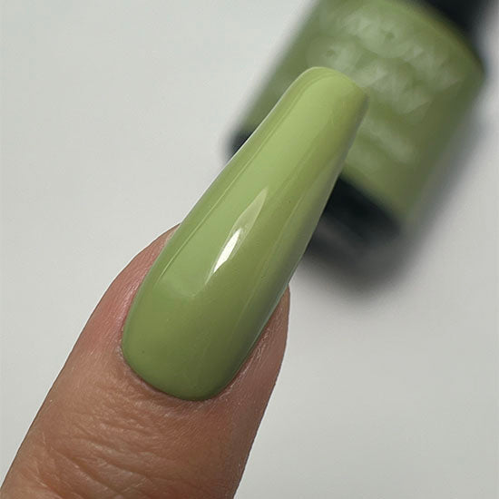Green Guru - Kit | Madam Glam