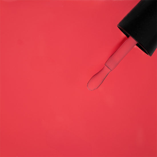 Tulip Flame