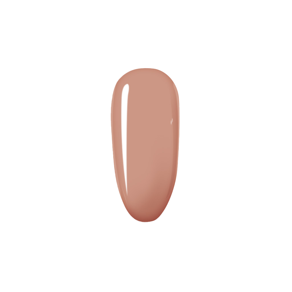 XOXO Bundle | Madam Glam