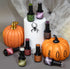 Moonlit Spell Bundle | Madam Glam
