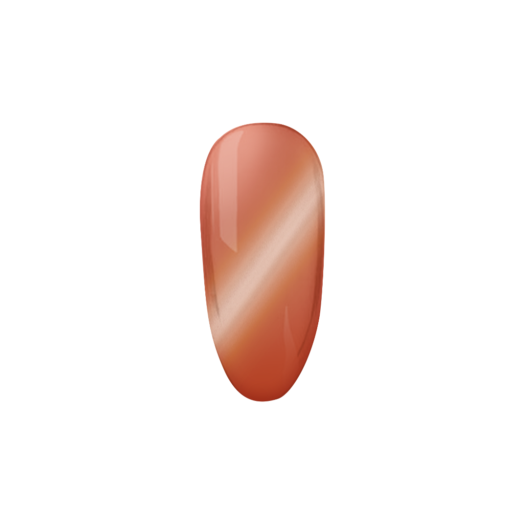 Honey Shell | Madam Glam