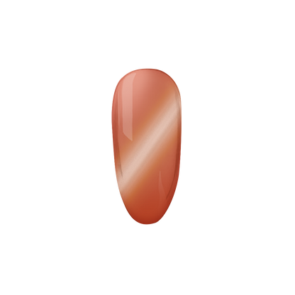 Honey Shell | Madam Glam