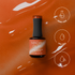 Honey Shell | Madam Glam