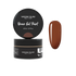 Brown Gel Paint | Madam Glam