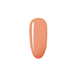 Pink Margarita