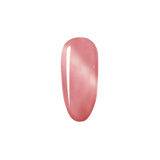 Fruit Punch